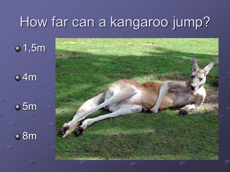 How far can a kangaroo jump? 1,5m  4m  5m  8m